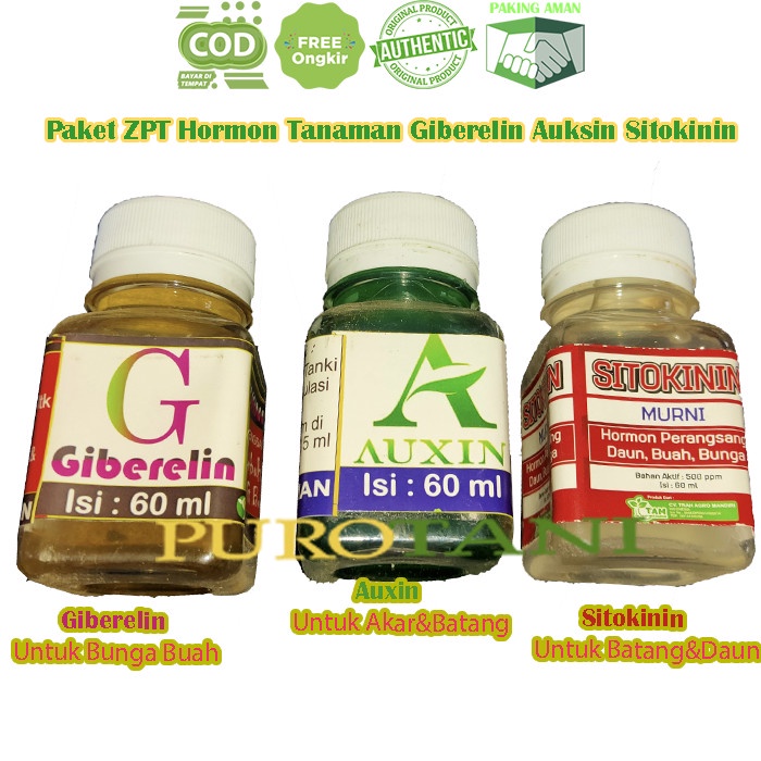 Paket Hormon Tanaman Giberelin Auksin Sitokinin