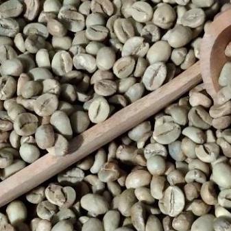 

Dijamin Ori>/ KOPI ANA GREEN BEAN ROBUSTA DAMPIT GRADE 1