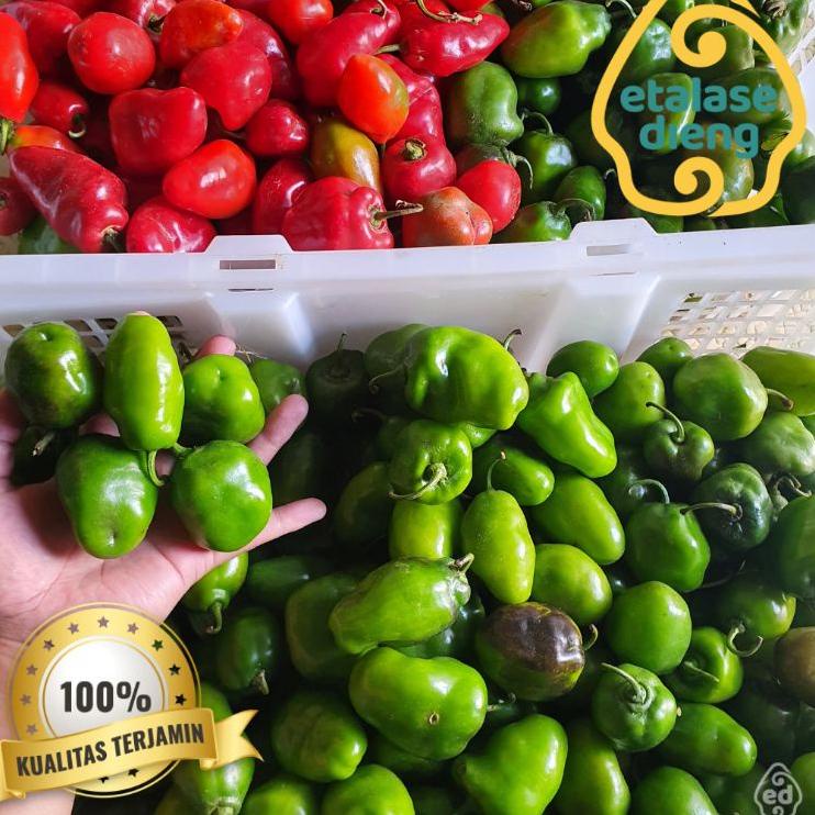 

9.9 BRANDS FESTIVAL Cabai / Cabe Gendot / Cabe Dieng / Cabe Gendut / Habanero / Cabe Fresh / Cabe / 1Kg / 0,5 Kg