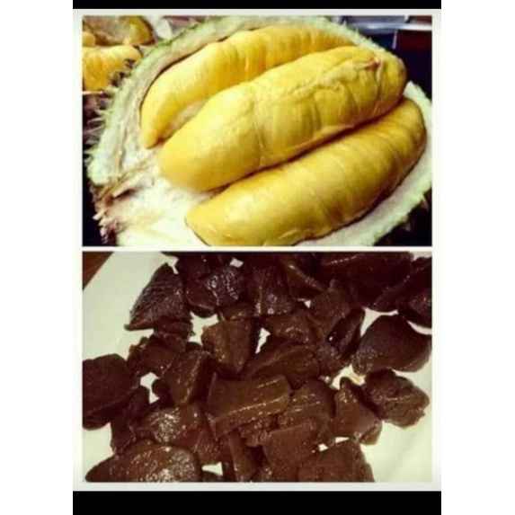 

Dodoldurian