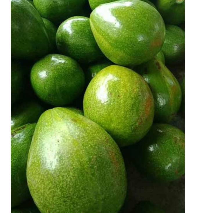 

Free Ongkir/ alpukat mentega 1000gr