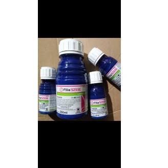 

ㅉ Fillia (250ml) れ