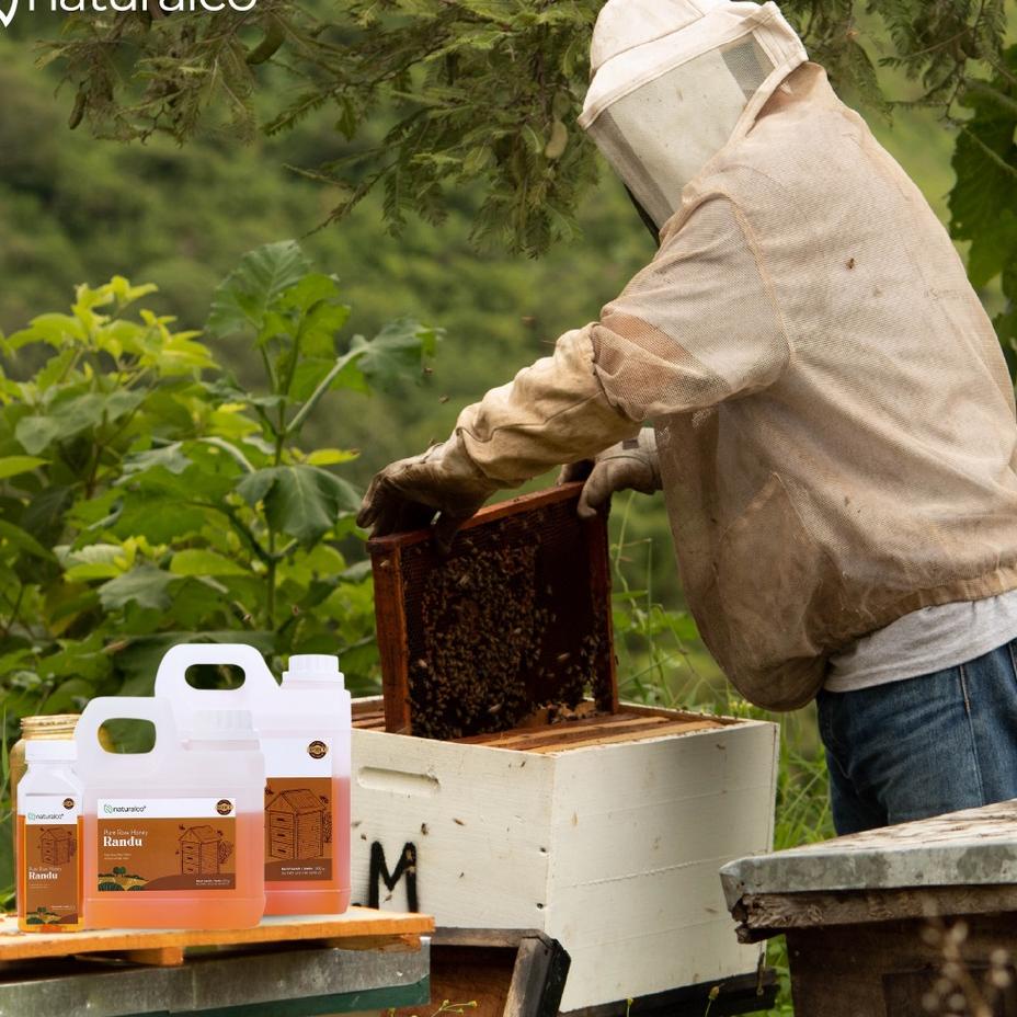 

TOP PRODUK Madu Asli Randu 1kg Naturalco Grade A 100% Alami Pure Raw Honey'
