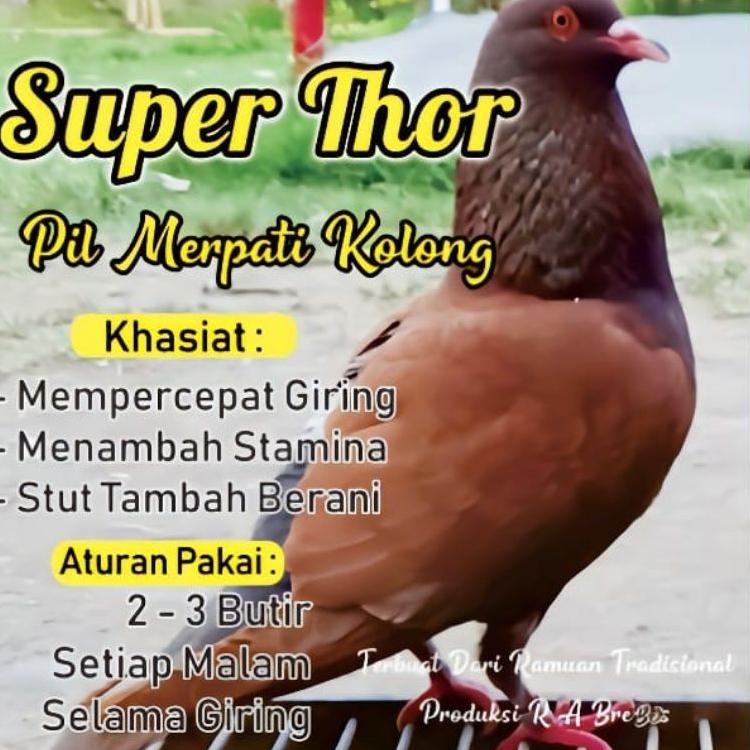 

[Z-V3V[➸] Super thor jamu merpati isi 120 butir terlaris bisa cod