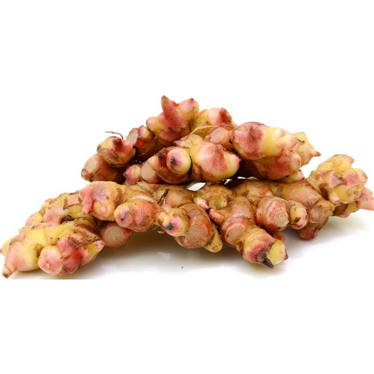 

HarvestMoon Jahe Merah @250gr