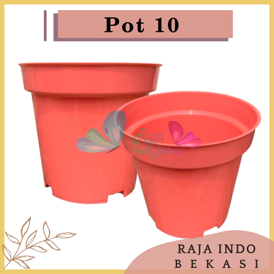 Pot Bunga 10 Cm Warna Warni Putih Hijau Kuning Pink Ungu Pot Bunga Hias Ukuran Mirip Pot Tawon 10 Cm