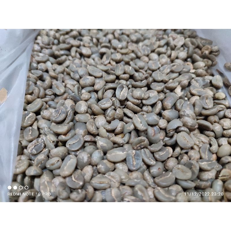 

Green Been Arabika Fullwash Sumbing Temanggung 1kg