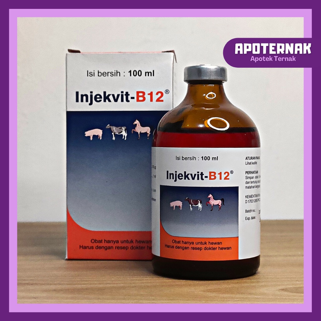 INJEKVIT B12 100 ml | Obat Anemia dan Mengatasi Nafsu Makan Berkurang | Vitamin B12 Hewan | MEDION | Apoternak