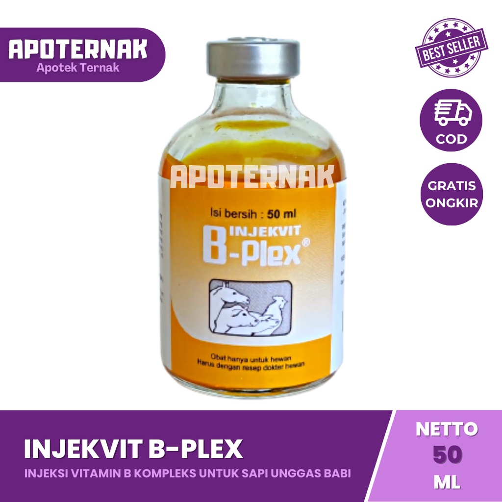 INJEKVIT B-PLEX 50 mL Inj | Tingkatkan Produktivitas dan Imun Hewan B Komplek B Complex | MEDION | Apoternak