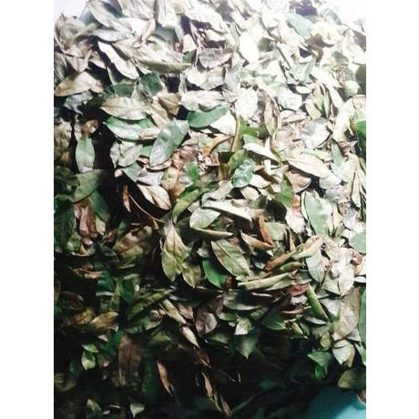 

⇊ Bubuk Daun Sirsak 1kg ・