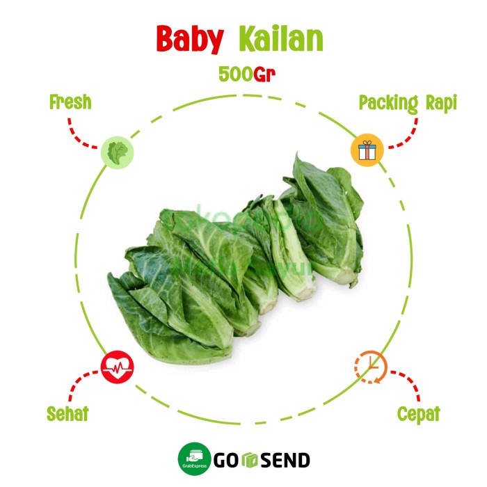 

BABY KAILAN / CUCIWIS / KAYLAN / FRESH VEGETABLE
