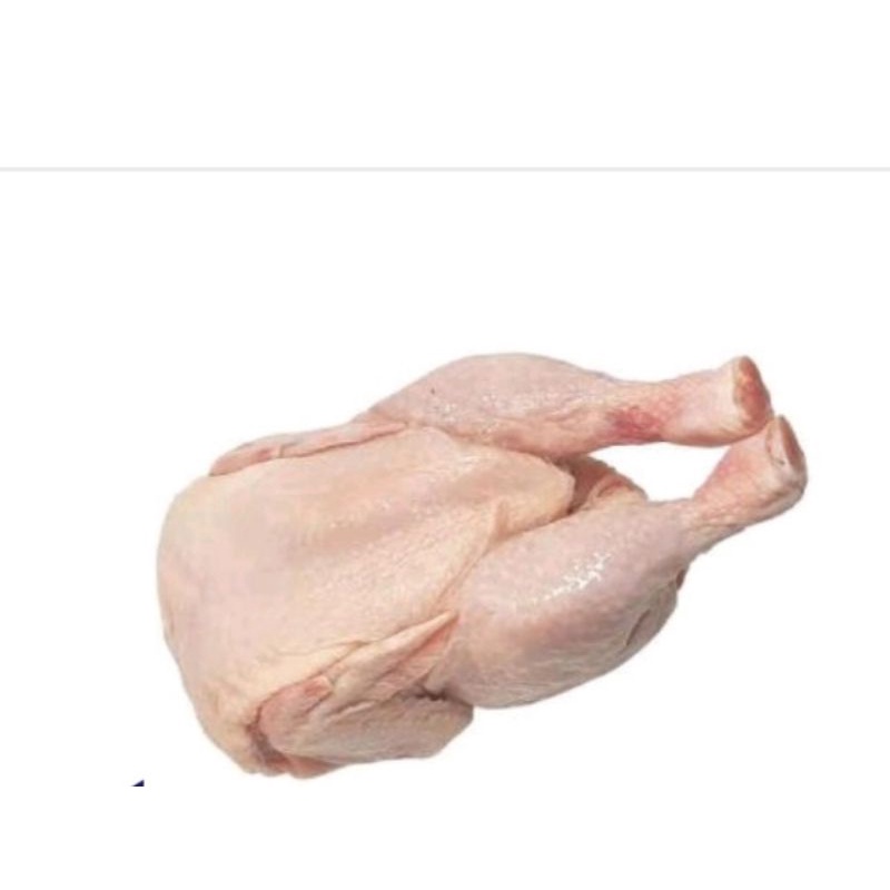 

Ayam Karkas Utuh 1.0-1.1 kg