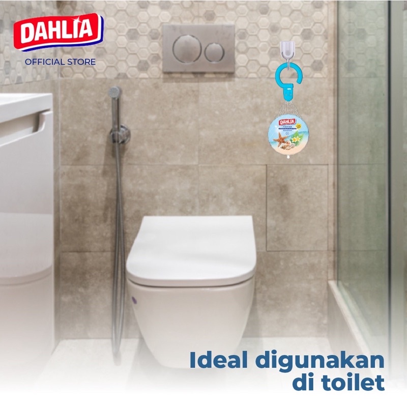 Dahlia gantung k24 (varian Ocean Breeze)