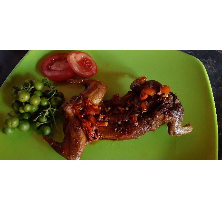 

TERUPDATEA➥ DAGING TUPAI UNGKEUP SIAP GORENG PER 1 EKOR - DAGING BAJING KELAPA - DAGING TUPAI KELAPA SIAP GORENG [BH5]