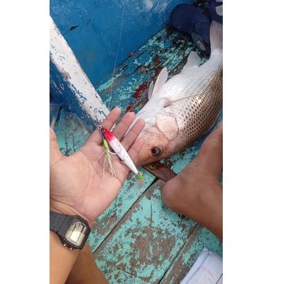 ↤ Metal Jig Jigpara 40gr & Assist Hook Castjig Killer Tenggiri GT barakuda ☑