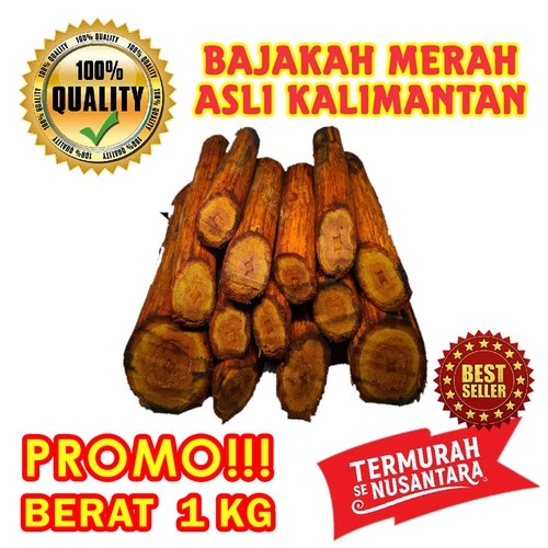 

bigseller akar bajakah asli kalimantan herbal alam mengatasi kanker ,tumor ,diabetes , dan masih banyak lagi manfaat bajakah/ akar bajakah/ kayu bajakah