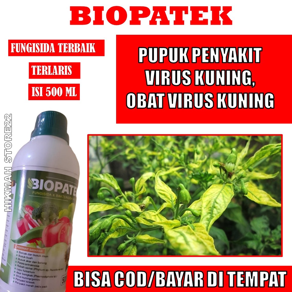 PROMO BIOPATEK isi 500 ML Fungisida Hayati Mengatasi Cabe Rawit Busuk Kering, Obat Patek Cabe Rawit,