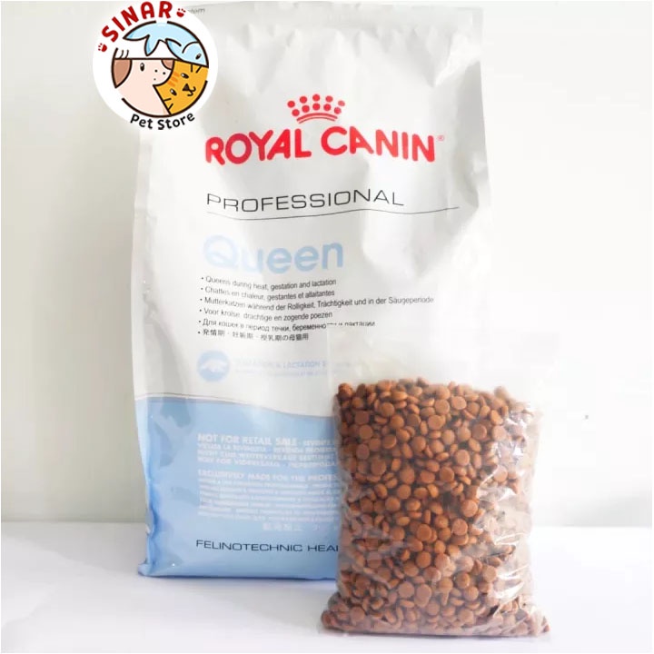 Royal Canin Professional Queen 400GR PRO Cat Food Makanan Kucing Hamil