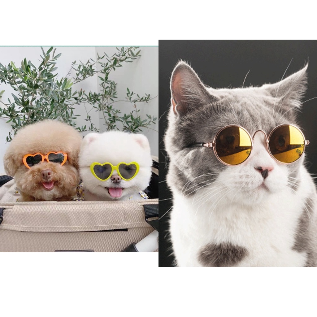 Kacamata Hewan Peliharaan Kacamata Model Kucing Anjing