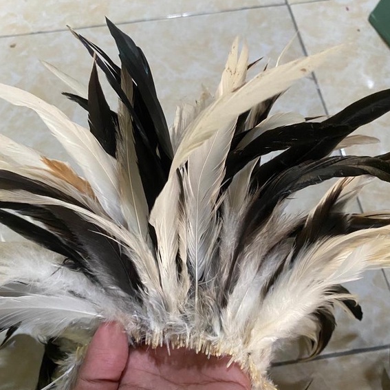 Bulu Besar Halus Ayam Kampung Hitam Putih Kualitas Premium Terbaik Bulu Kerajinan Tangan Pakaian Adat Papua - Bulu Gradasi Halus Besar