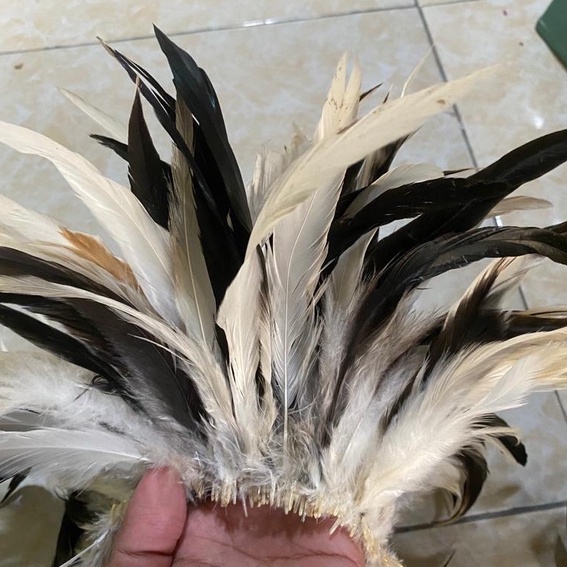 Jual Bulu Besar Halus Ayam Kampung Hitam Putih Kualitas Premium Terbaik ...