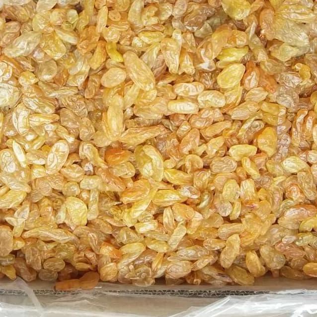 

Termurah dan terbaik kismis kuning non biji 500gr seni jumbo buruan