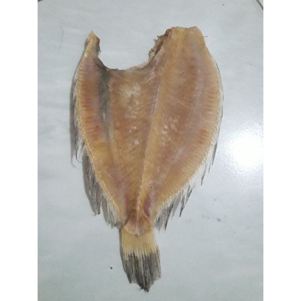 

Ikan Pihi 100gr / ikan sebelah