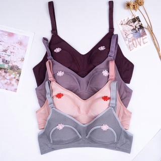 IL - Bra BH MENYUSUI Tanpa Busa Tanpa Kawat / Bra Maternity / WenLie / Verra / Exxen