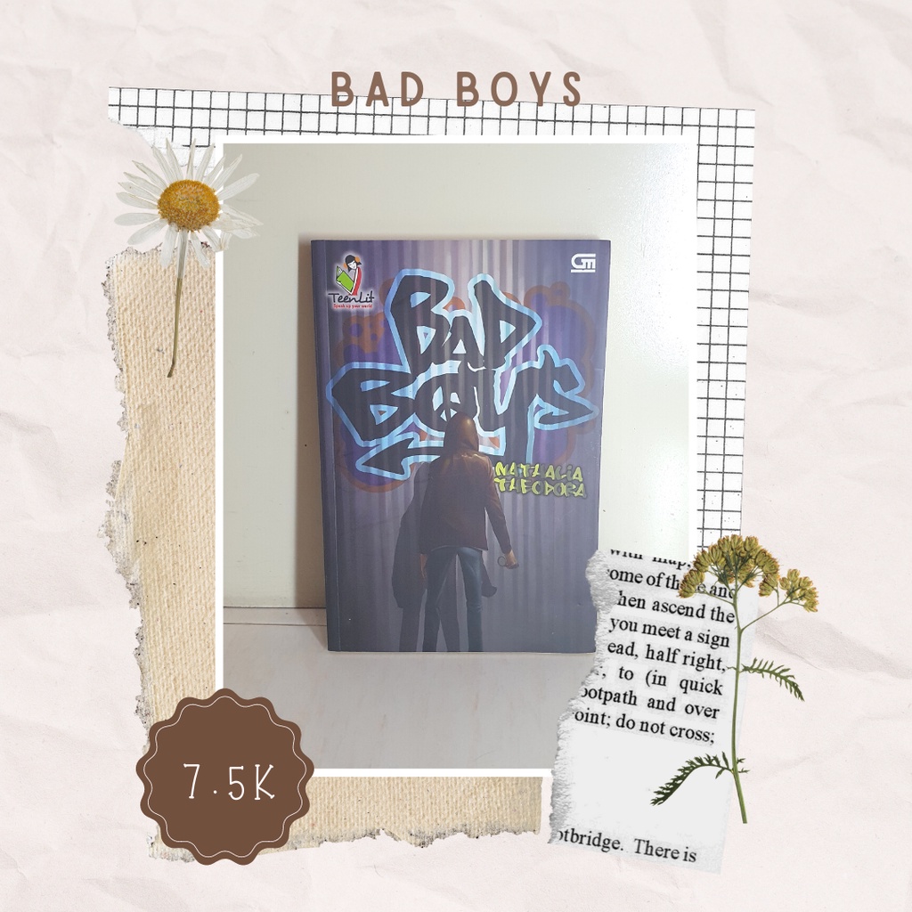 Novel : Bad Boys (preloved/bekas)