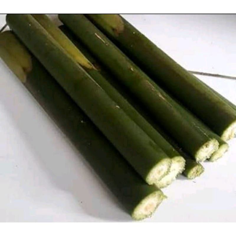 

Batang kecombrang 1 kg frees
