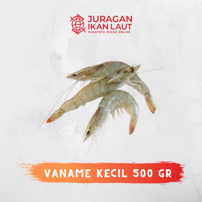 

Udang Vaname Kecil Segar Berkualitas - 500 Gram