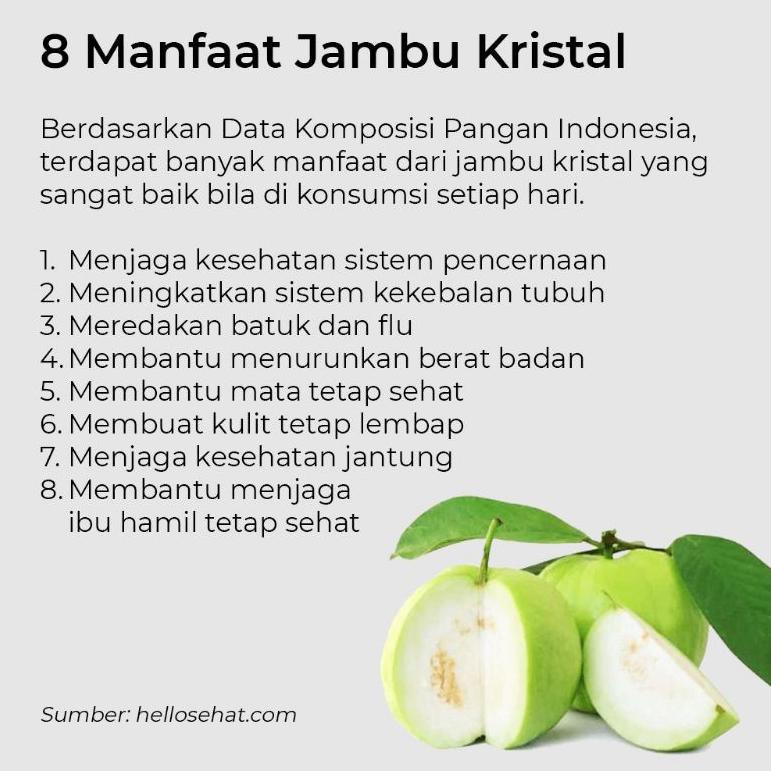 

★ Jambu Kristal Grade A Netto 1kg ヮ