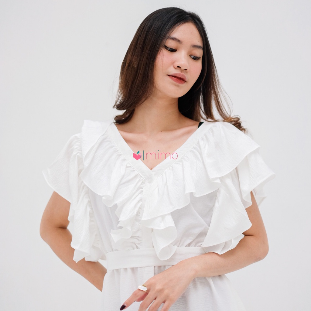 Butterfly Dress (christmast collection)