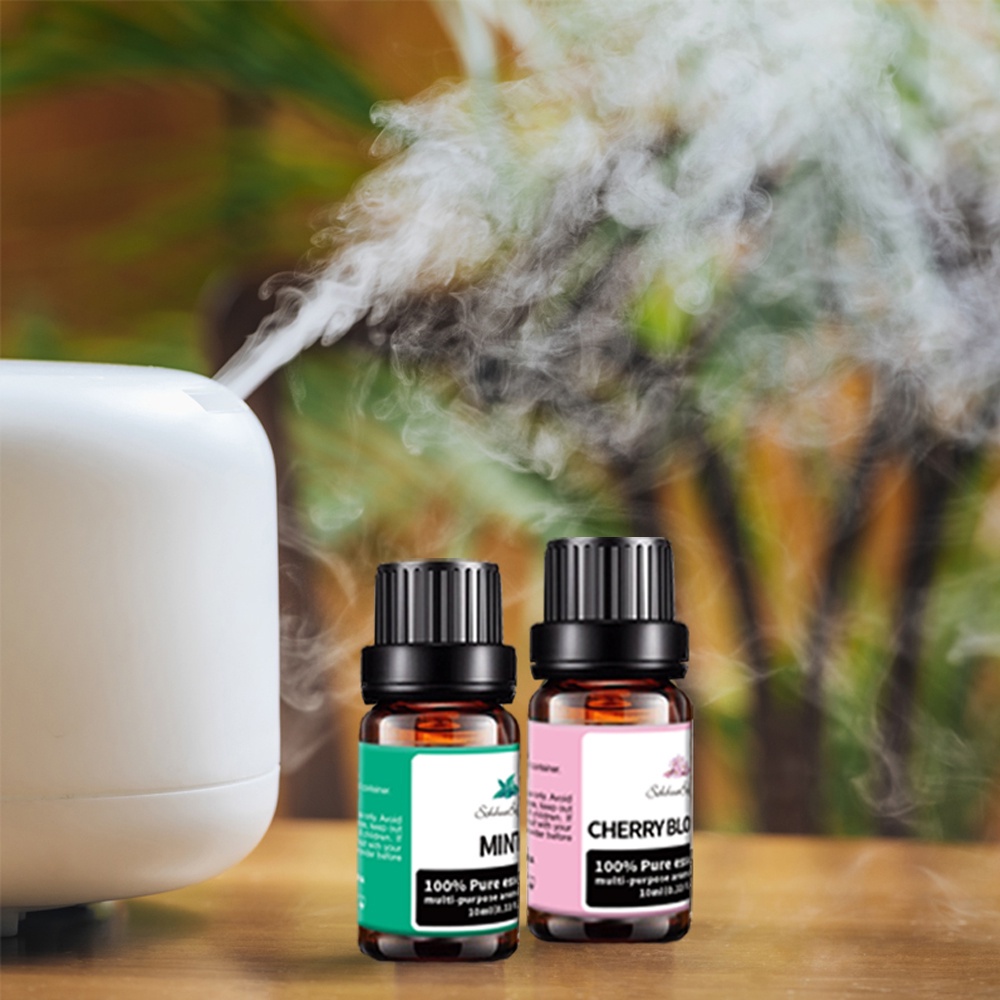 Fragrance Essential Oil Aromaterapi Gift Set Aroma Oil 6 in 1 / 10ml