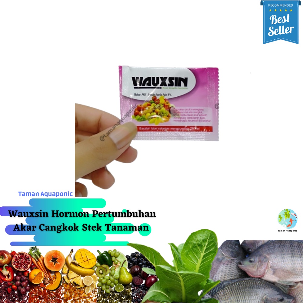 Wauxsin Hormon Pertumbuhan Akar Cangkok Stek Tanaman