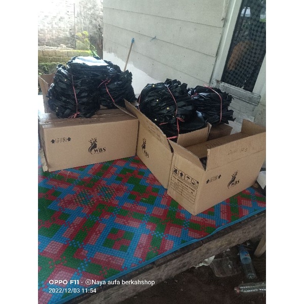 wbs kosmetik bpom n halal muo