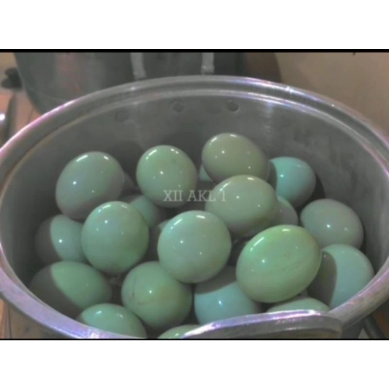 

Telur Asin