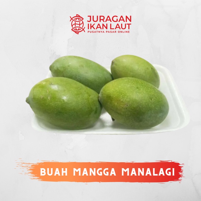 

Mangga Manalagi Segar Berkualitas - 1 Kilogram