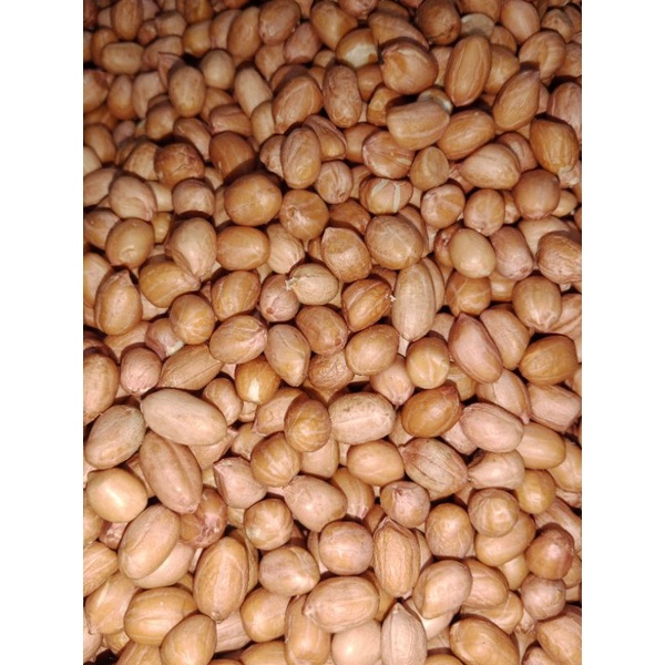 KACANG TANAH KERING