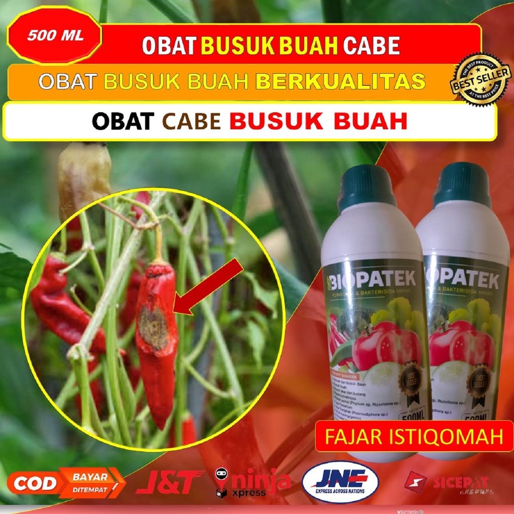 TERJAMIN AMAN BIOPATEK fungisida hayati obat busuk buah CABE (500 ML) - obat busuk buah pada cabe - 