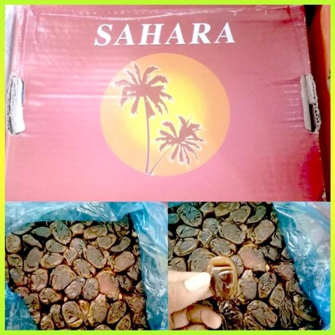 

READY STOK KURMA SAYER SAHARA 10 KG ORIGINAL RTH694GTR