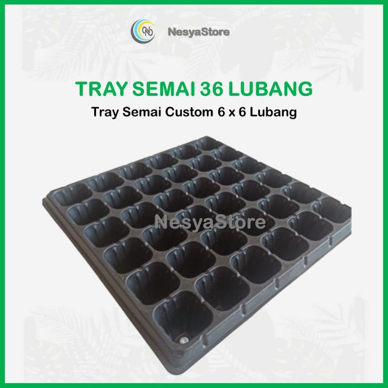 Tray Semai Potray 36 Lubang Custom - Tray Semai 6x6