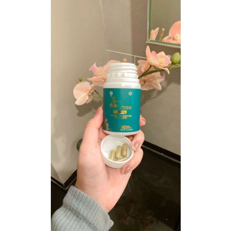 BPOM + HALAL MUI + GMP CERTIFIED || SUPLEMEN KESEHATAN HIBOOS BODY GOALS