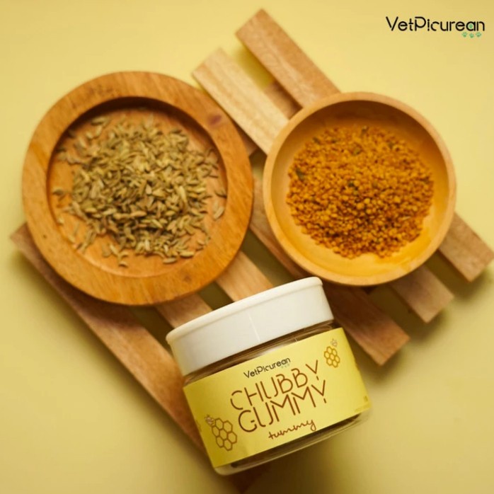 VETPICUREAN CHUBBY GUMMY TUMMY - VITAMIN ANJING KUCING