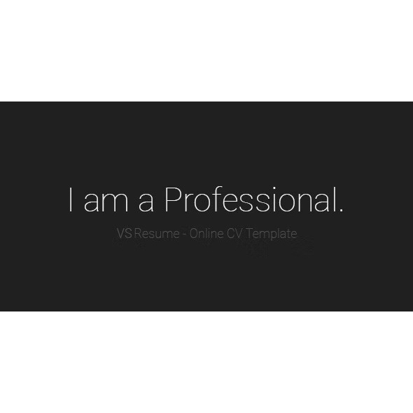 Template VSResume Online CV / Resume Template Web