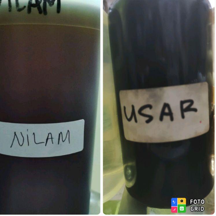 NBM-70 Essen Nilam & Usar [122]