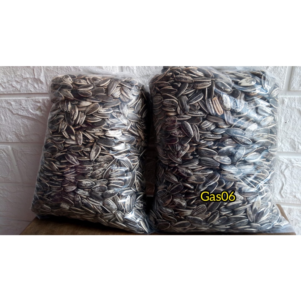 [500 gram] JUMBO KUACI/KWACI/BIJI BUNGA MATAHARI MENTAH