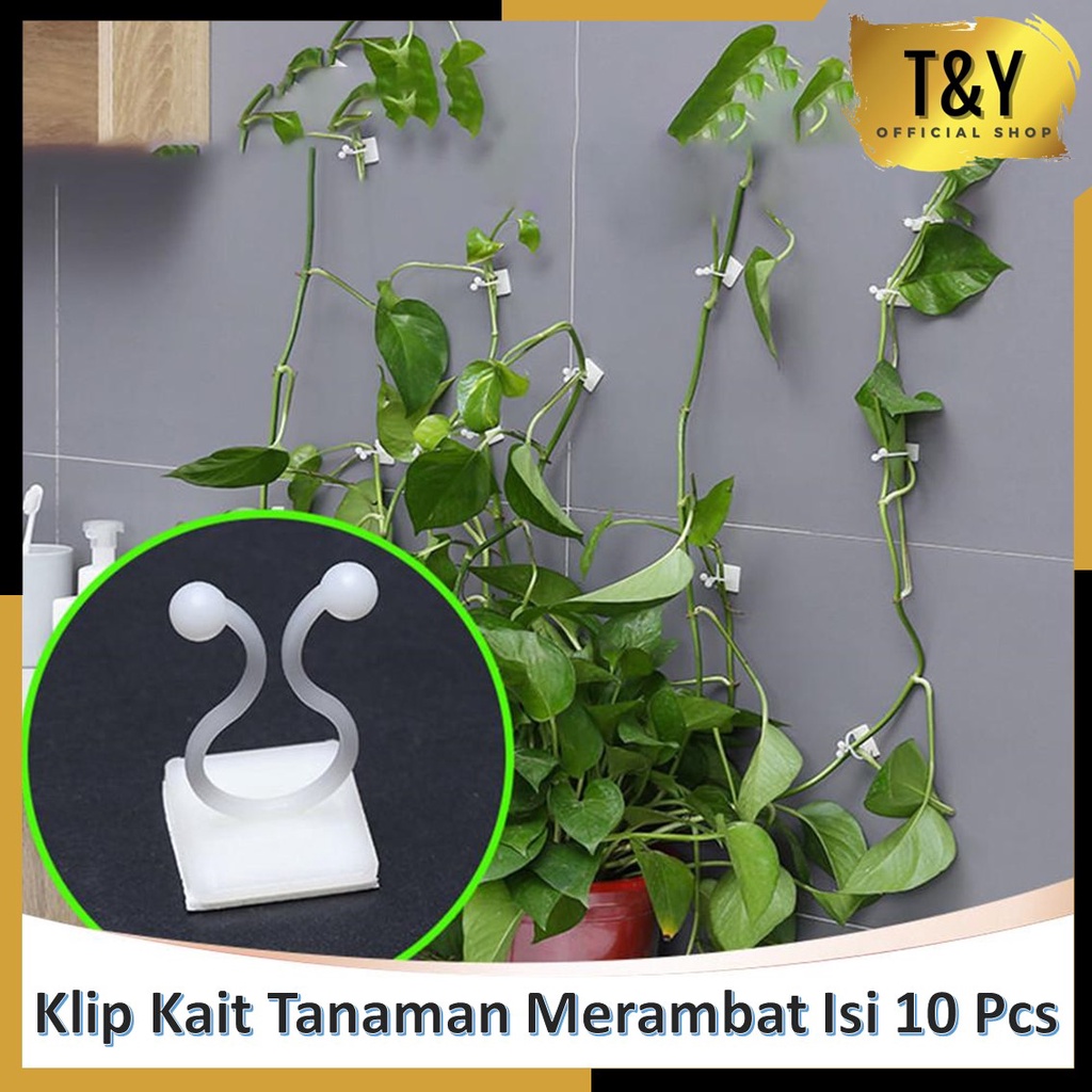 T&amp;Y Klip Kait Tanaman Merambat Isi 10 Pcs Plant Climbing Wall Penjempit Tanaman Klem Kabel Dengan Perekat 3M