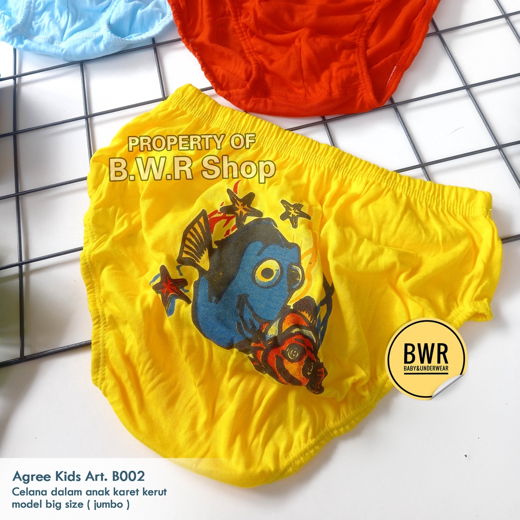[ 3pc ] CD Agree Kids BIG SIZE B002 | Celana Dalam Anak 9 - 15 Tahun Jumbo Karet Kerut - Bwr