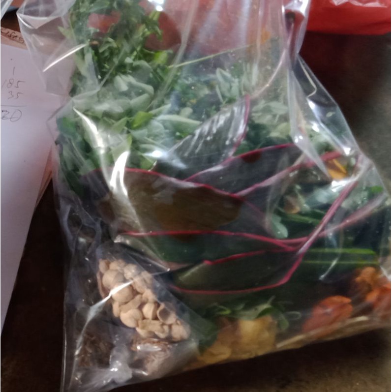 

RAMUAN HERBAL ASMA DAN TULANG EKOR